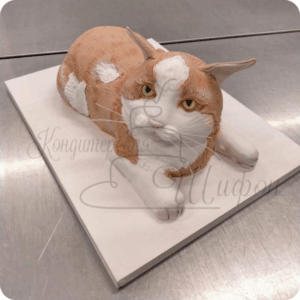 3D торт №12